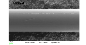Electron microscope image showing a micro-scale object with distinct surface features.